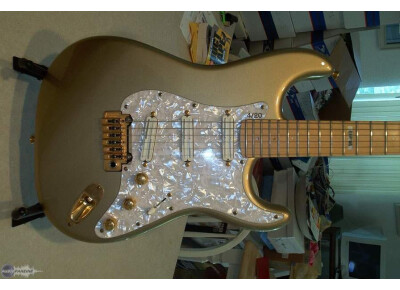 ESP Vintage Plus (Vintage)