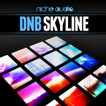 Niche Audio DnB Skyline