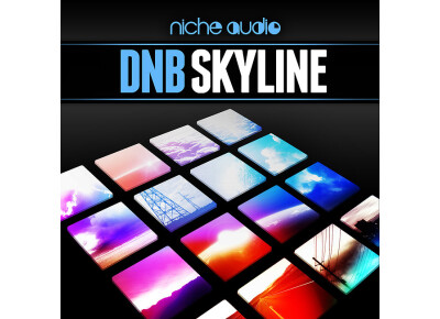 Niche Audio DnB Skyline