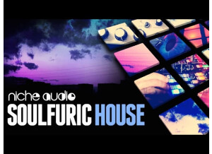 Niche Audio Soulphuric House