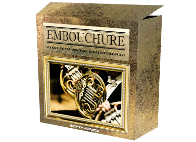 Softphonics Embouchure