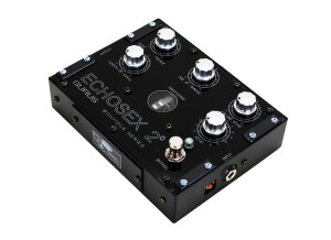 Gurus Echosex 2