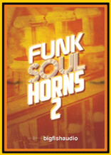 Big Fish Audio Funk Soul Horns 2