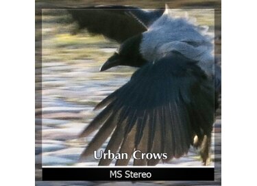 Detunized Urban Crows