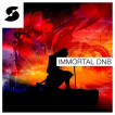 Samplephonic introduces Immortal DnB