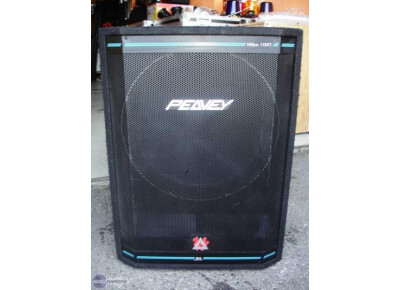 Peavey HiSys 118 XT