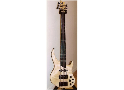 Querey Guitars Basse 5 Cordes active