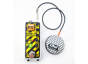 Rainger FX ECHO-X