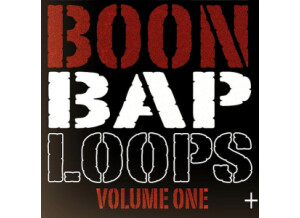 Maschine Masters BoonBap Loops Vol 1