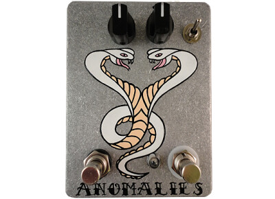 Fuzzrocious Anomalies