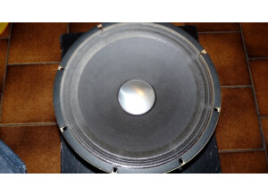 Roland Heavy Duty Transducer