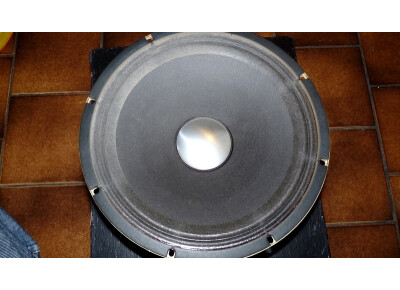 Roland Heavy Duty Transducer