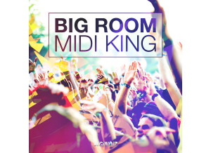 Diginoiz Big Room – Midi King