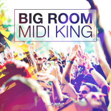 Diginoiz Big Room – Midi King