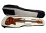 Gator Cases G-PG Bass 2x