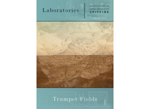Spitfire Audio Trumpet Fields