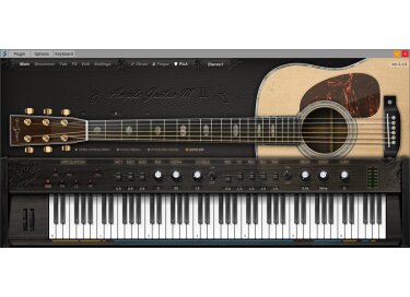 Ample Sound AGM Pick Extension