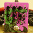 Dwarfcraft sort une nouvelle fuzz : le Necromancer