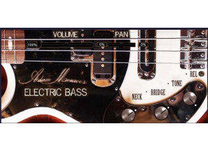 Adam Monroe Music Electric Bass