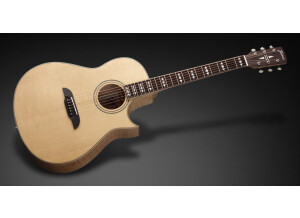 Framus Legacy FC 44 SV