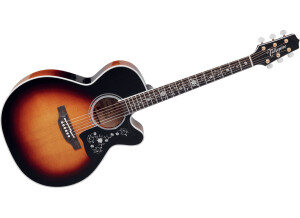 Takamine EF450C-TT