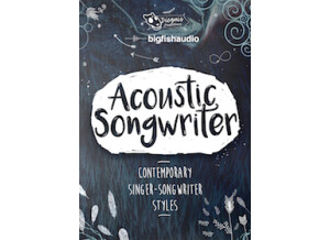 Big Fish Audio Acoustic Songwriter
