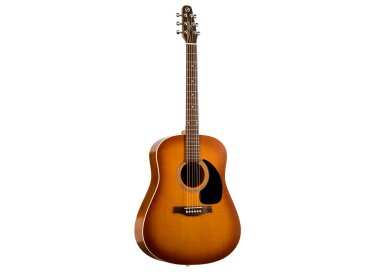 Seagull S6 Entourage