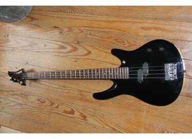 Washburn XS2