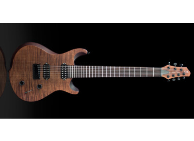 Jericho Guitars Edge 7 - Bolt On