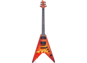 Washburn WV 16 G12