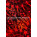 Voir la photo du 8dio Blendstrument Hybrid Pulses 8dio Blendstrument Hybrid Pulses