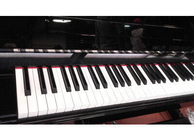 Wilh. Steinberg P121E