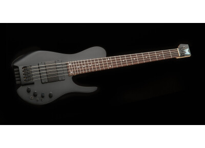 Fodera Guitars Imperial Mini-MG