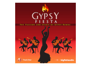 Big Fish Audio Gypsy Fiesta