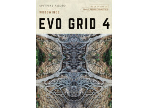 Spitfire Audio PP025 Evo Grid 4