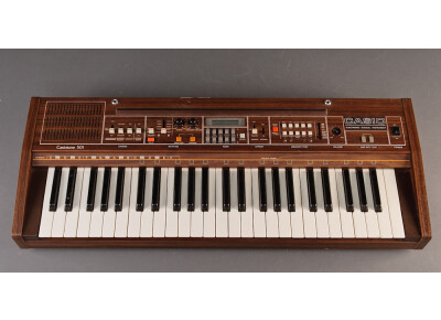 Casio Casiotone 501