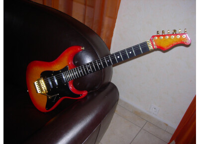 Valley Arts Guitars Custom Pro USA (strat)