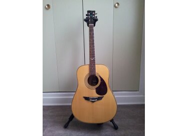 VIG Guitars Mistral V10E