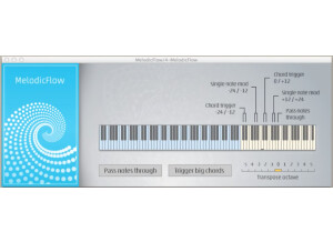 Feel Your Sound MelodicFlow