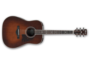 Ibanez AVD10