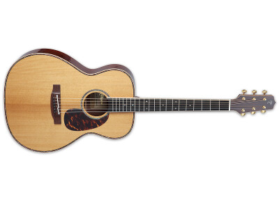 Takamine EF75M TT