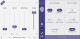 Les plug-ins Goodhertz en v2 et un cadeau