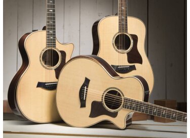 Taylor 810e DLX
