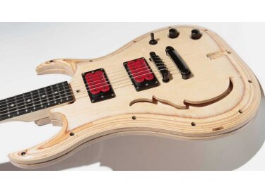 Evolution Guitars Evolution