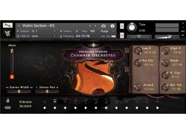 Versilian Studios Chamber Orchestra 2