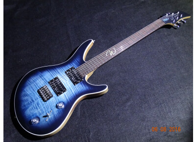 Wolf Guitars WE3