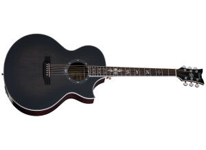 Schecter Synyster Gates 'SYN GA SC' Acoustic