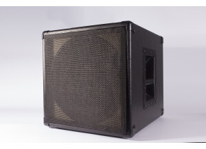 Guitar Sound Systems Single12