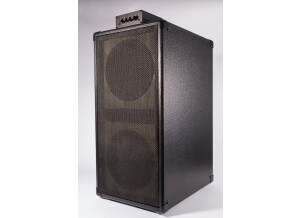 Guitar Sound Systems Double8c