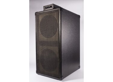 Guitar Sound Systems Double8c